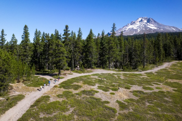 Hikers walk along trail with green grass and green trees around them. Mt. Hood with white snow is behind them with blue sky.
