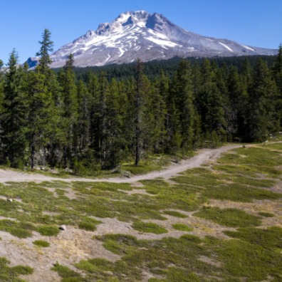 Hikers walk along trail with green grass and green trees around them. Mt. Hood with white snow is behind them with blue sky.