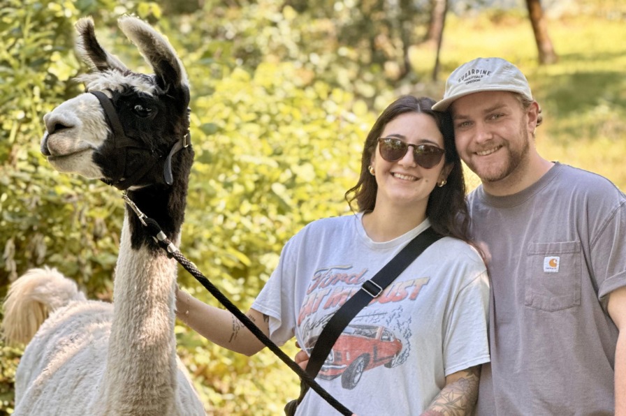 Two walkers pose with a white llama on the llama walk