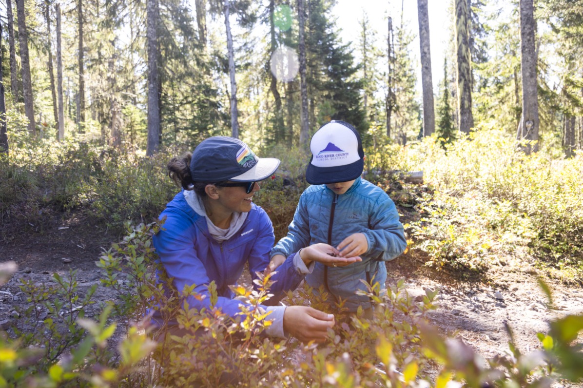 A parent and child pick berries on a guided hike