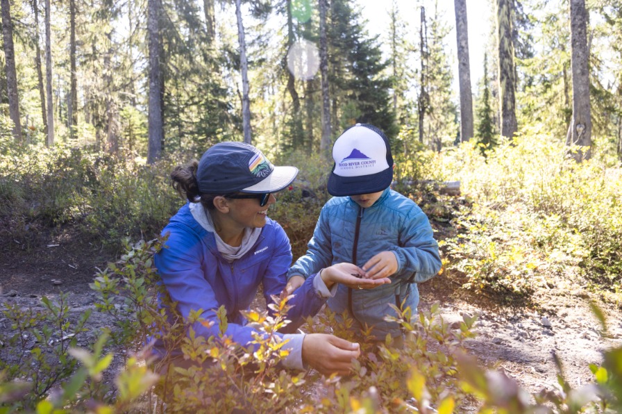 A parent and child pick berries on a guided hike