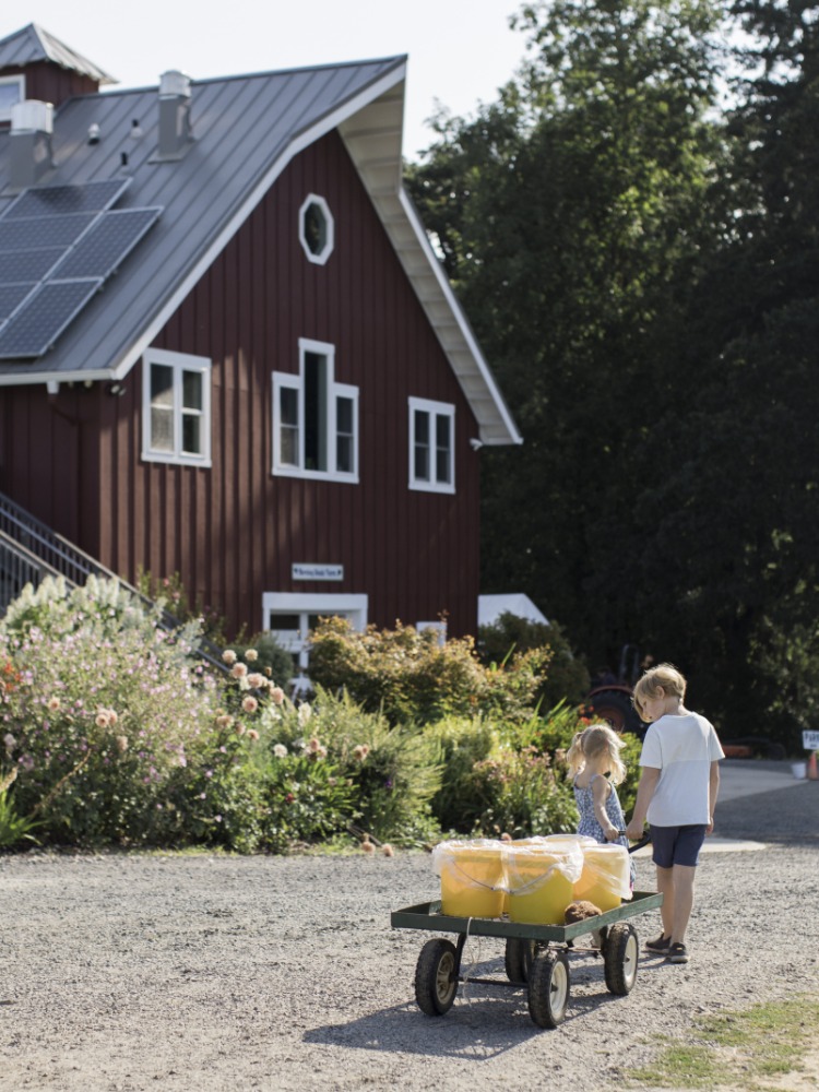 Two children pull a wagon with yellow buckets full of u-pick berries
