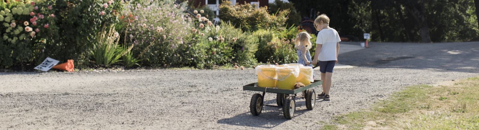 Two children pull a wagon with yellow buckets full of u-pick berries