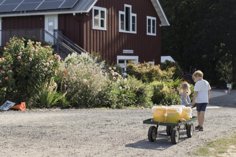 Two children pull a wagon with yellow buckets full of u-pick berries