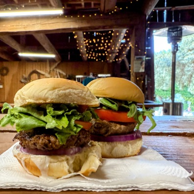 Two meat sliders on tiny buns.