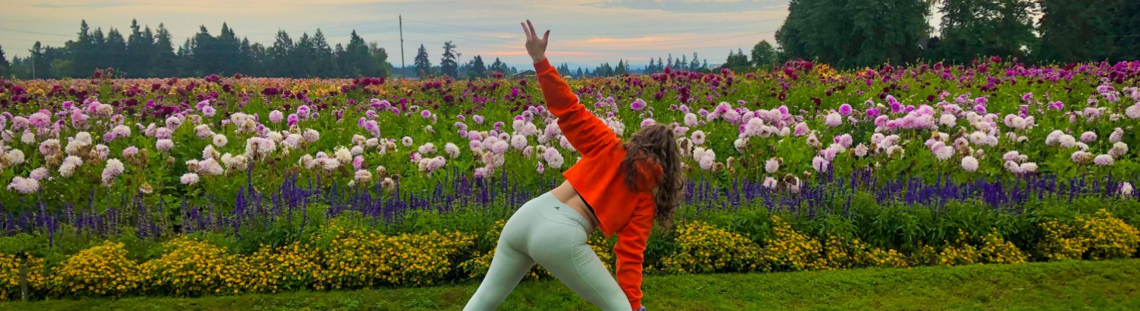 Yoga in dahlias