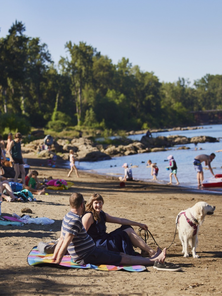 People and dogs on a river beach