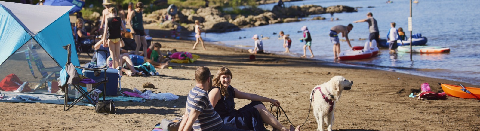 People and dogs on a river beach
