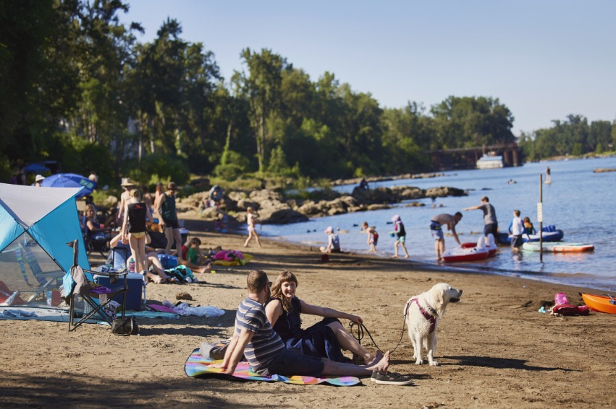 People and dogs on a river beach