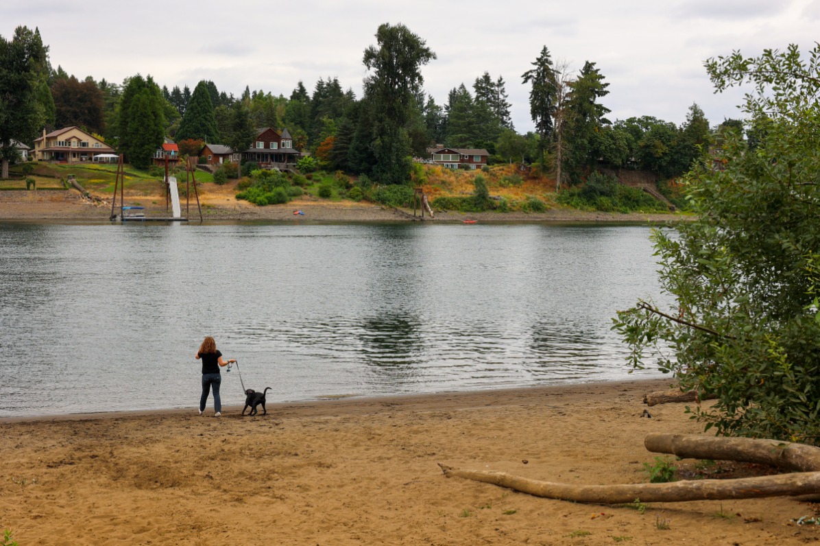 Person walks a dog on a beach by river