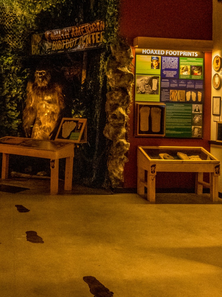 Displays of Bigfoot line the walls of a museum