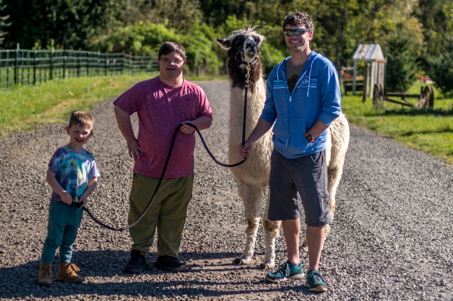 Three visitors stand with a llama on a leash on gravel road