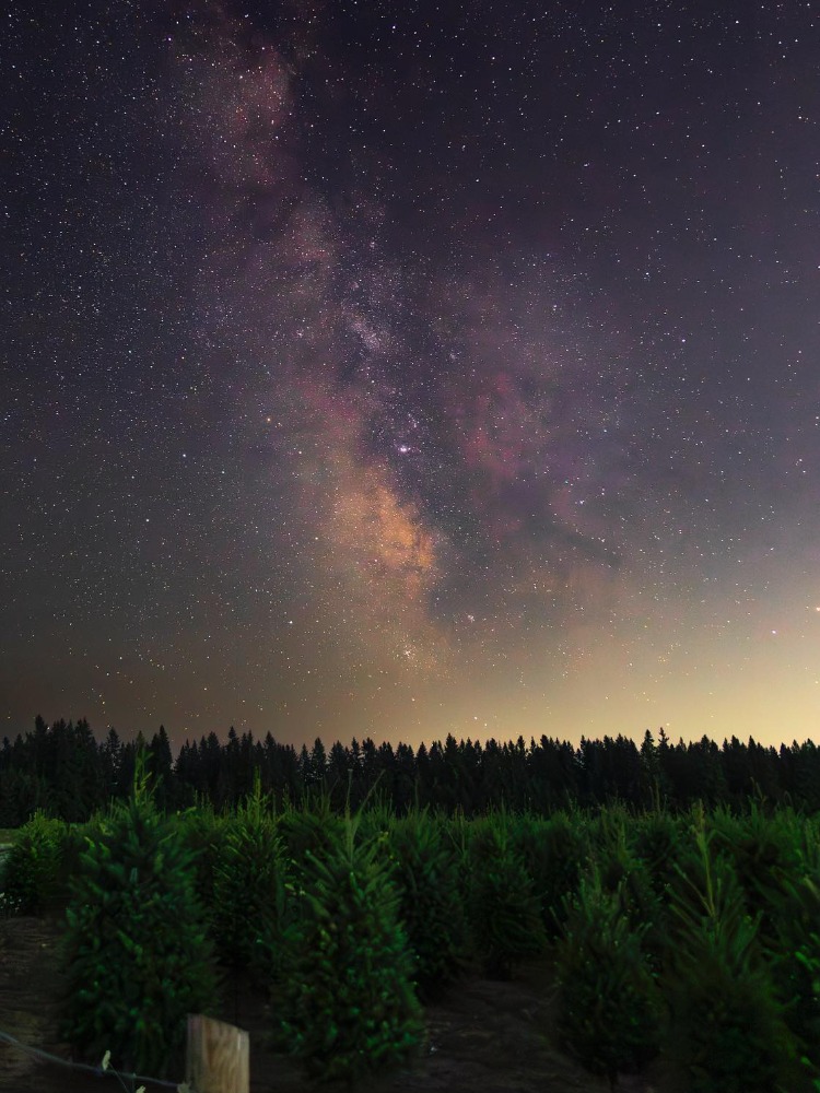 Stars glow against green trees below
