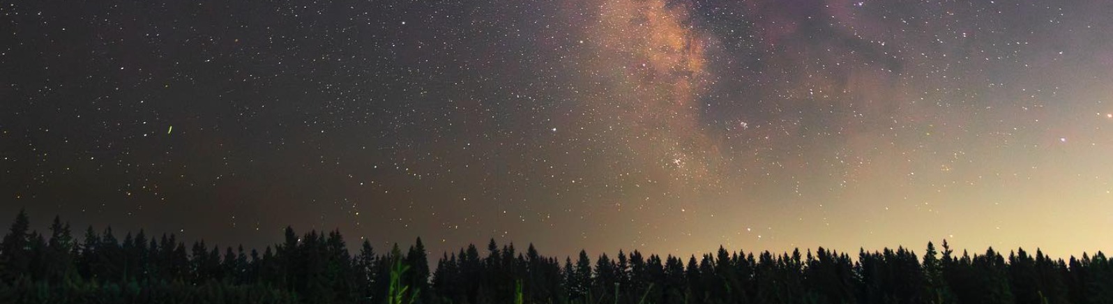 Stars glow against green trees below