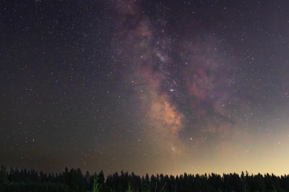 Stars glow against green trees below