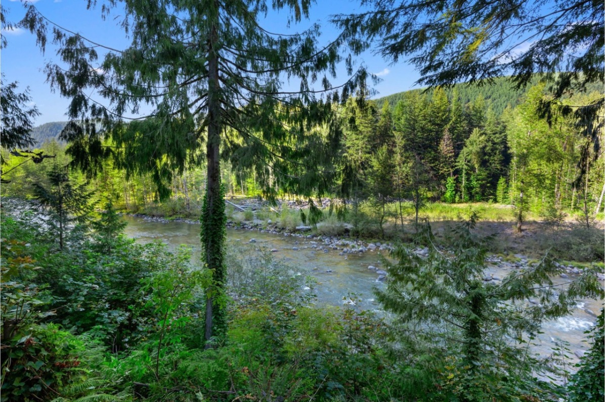 A river seen through green trees.