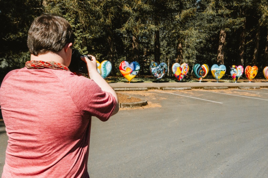 A photographer in a red shirt takes photos of a row of painted heart sculptures.