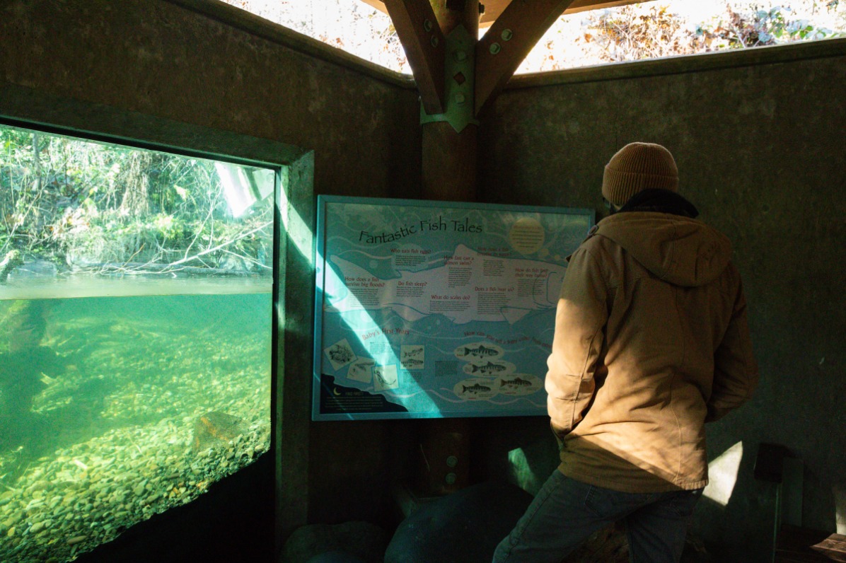 Person looks at sign beside underwater fish viewing window