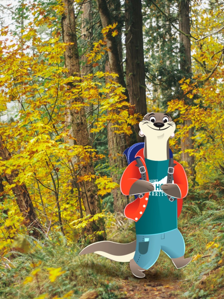 Aninated otter hikes on a trail surrounded by fall foliage
