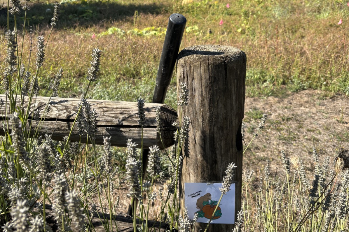 Laminated sign of a sasquatch and pumpkin on a fence post in front of field