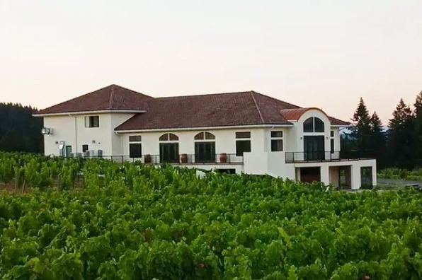 A modern white building with large windows overlooks lush green vineyards under a soft sunset sky, surrounded by tall trees.