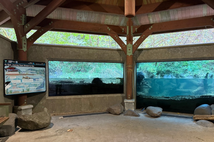 A glass viewing are looks into a river