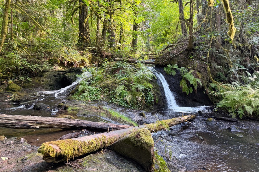 Camp Colton even has waterfalls on property. Two waterfalls run down to a pool with a log