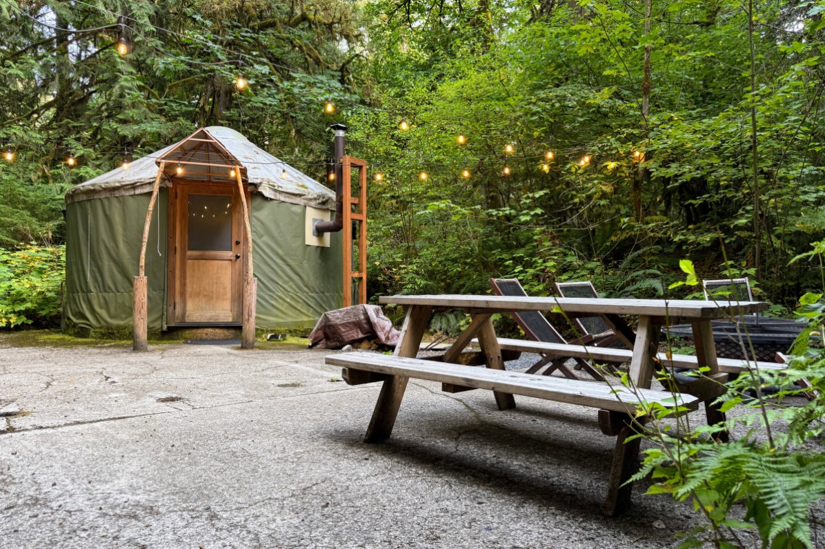 A yurt surrounded by trees 