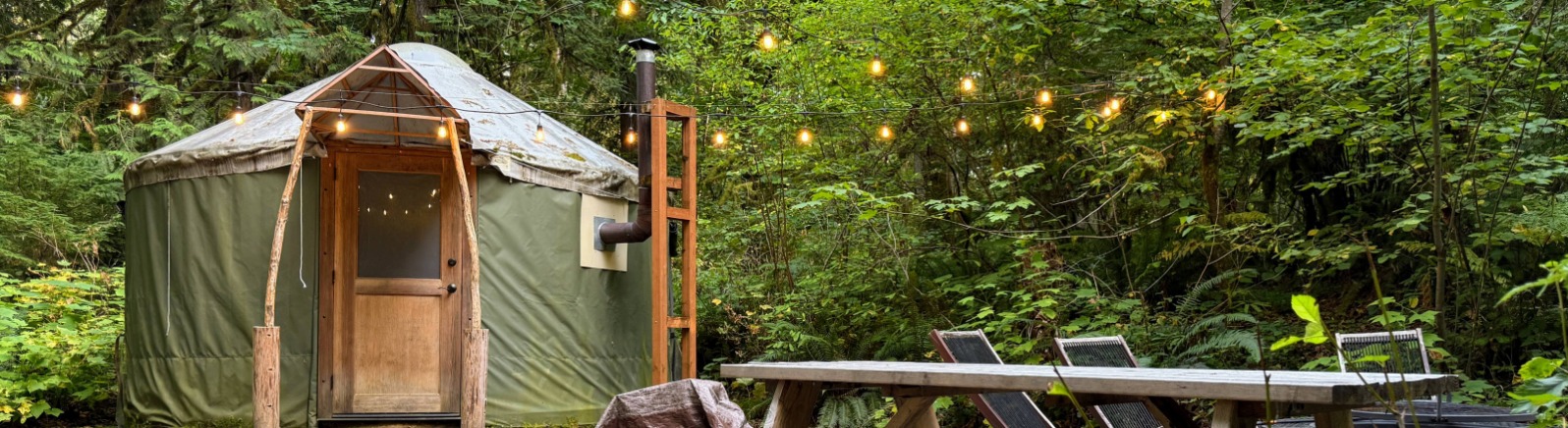A yurt surrounded by trees 