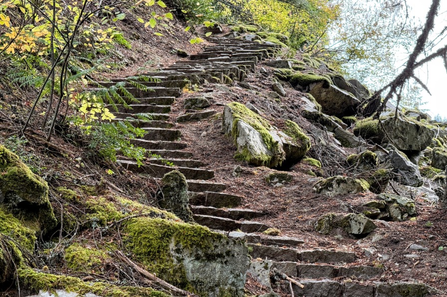 The Laurel Hill Chute Loop Hike Rock steps head uphill on a moss covered slope