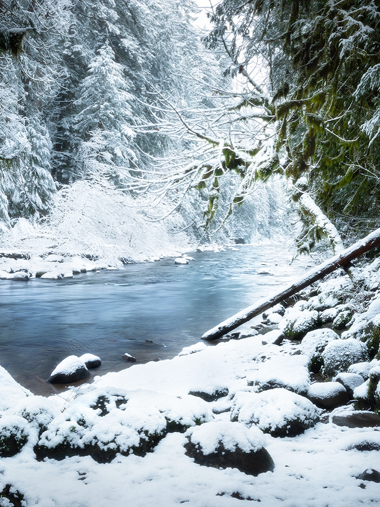Snowy river scene in forest