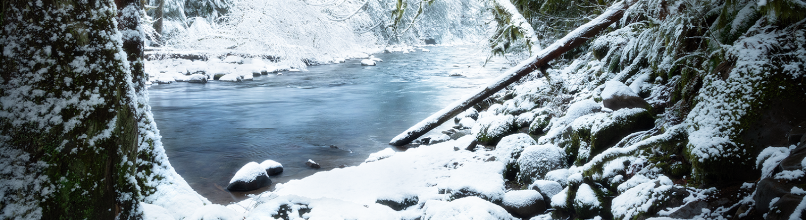 Snowy river scene in forest