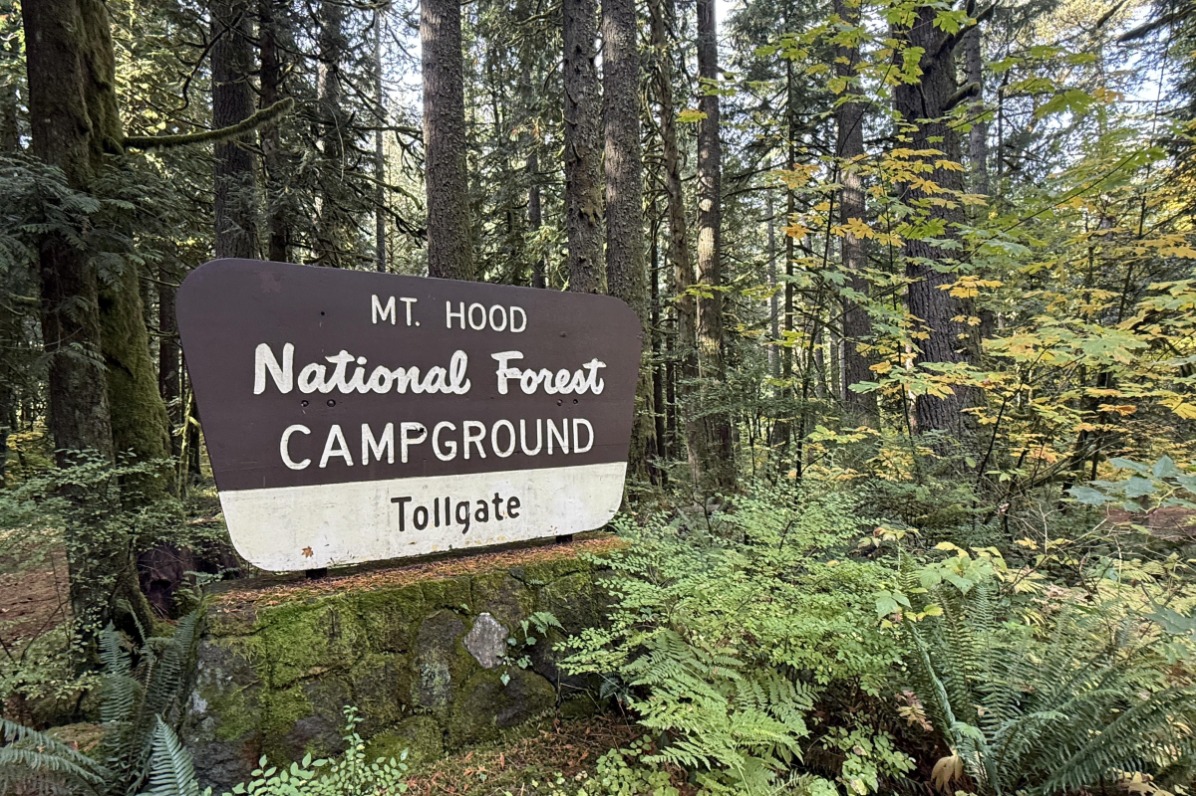 Wooded area featuring a large sign for Mt. Hood National Forest Tollgate Campground, surrounded by tall trees and lush greenery.