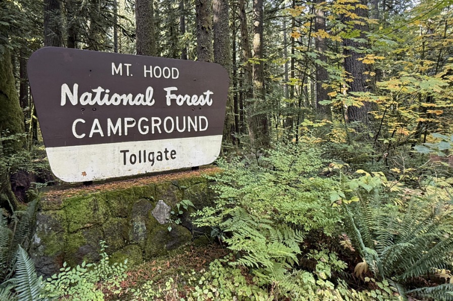 Wooded area featuring a large sign for Mt. Hood National Forest Tollgate Campground, surrounded by tall trees and lush greenery.
