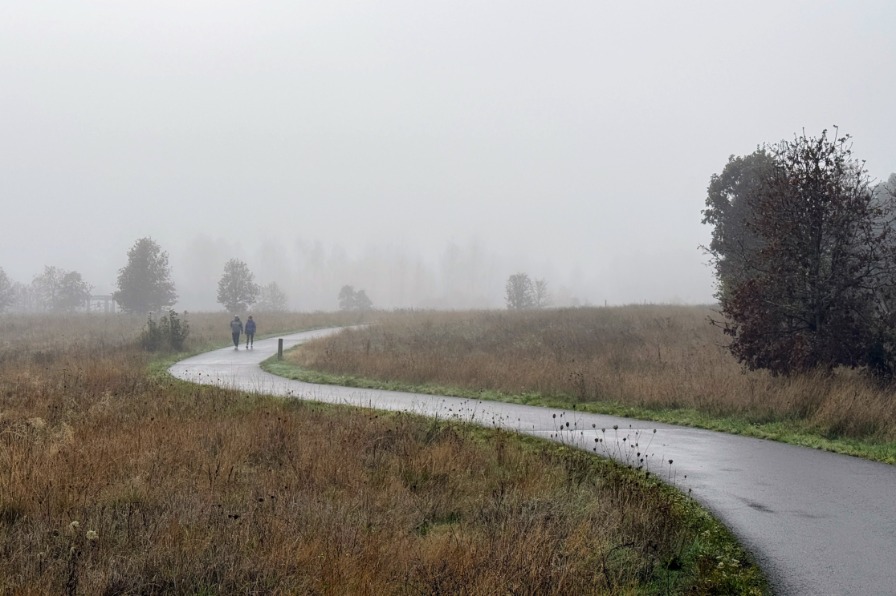 Two people walk on a paved trail in the fog.