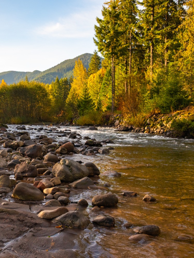 A view of a river with rocks in it and orange and green leaves on the trees.