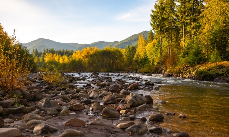 A view of a river with rocks in it and orange and green leaves on the trees.