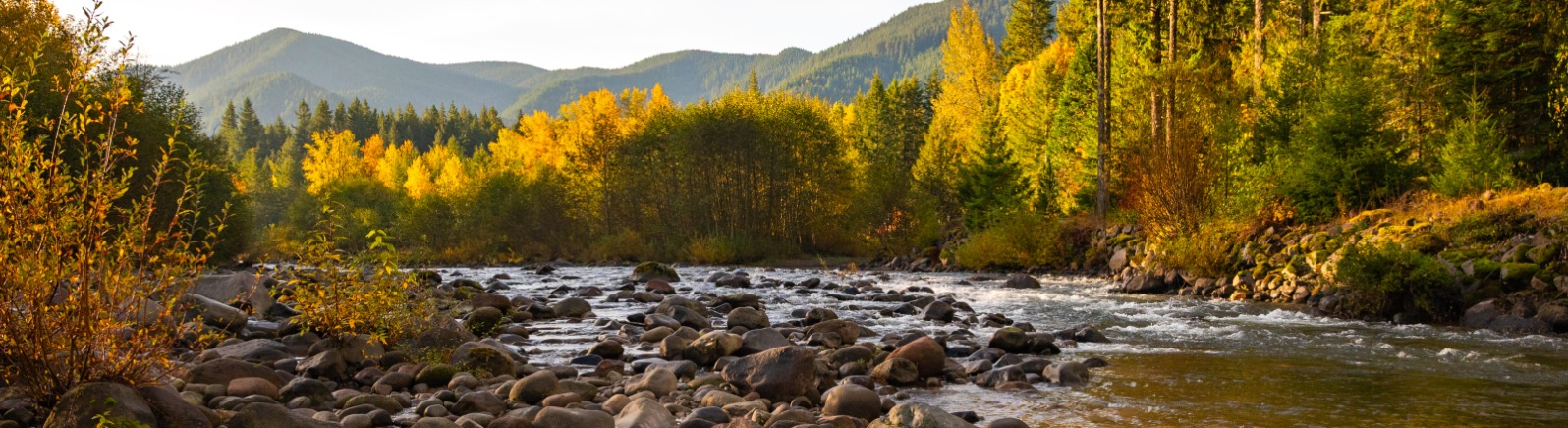 A view of a river with rocks in it and orange and green leaves on the trees.