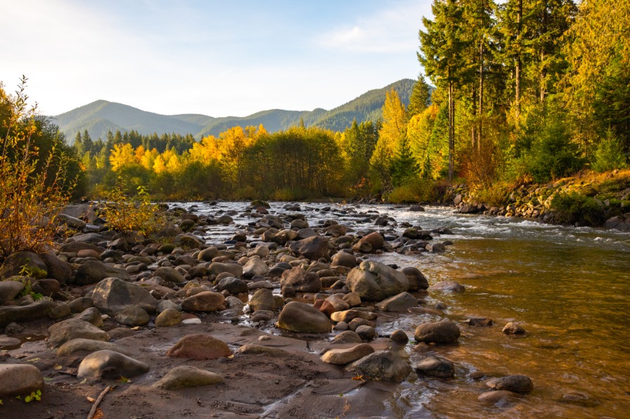 A view of a river with rocks in it and orange and green leaves on the trees.