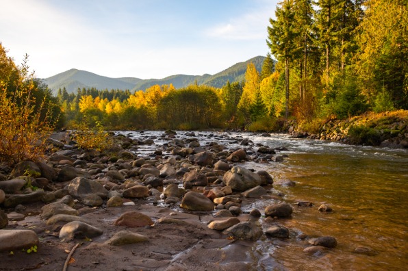 A view of a river with rocks in it and orange and green leaves on the trees.