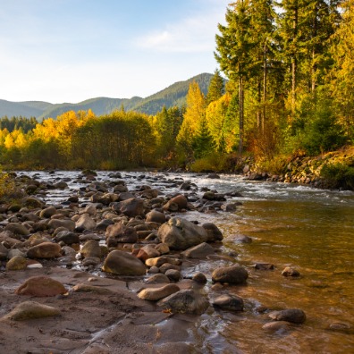 A view of a river with rocks in it and orange and green leaves on the trees.