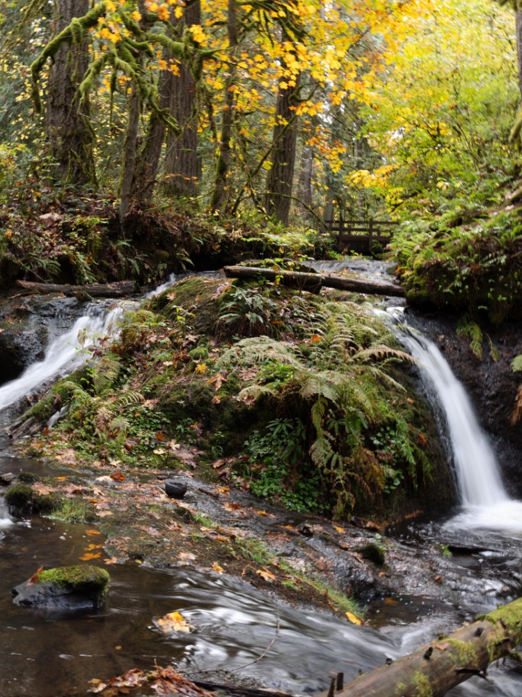 Two waterfalls run down to a pool with a log