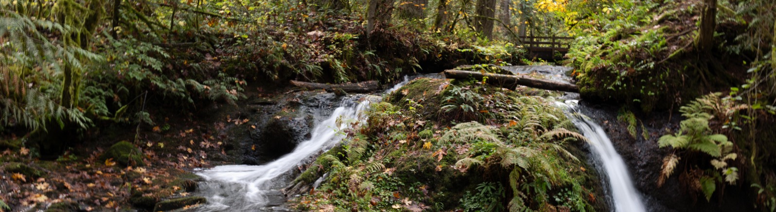 Two waterfalls run down to a pool with a log