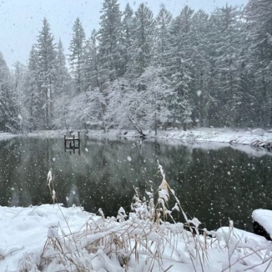 Snow falls on the banks of a pond