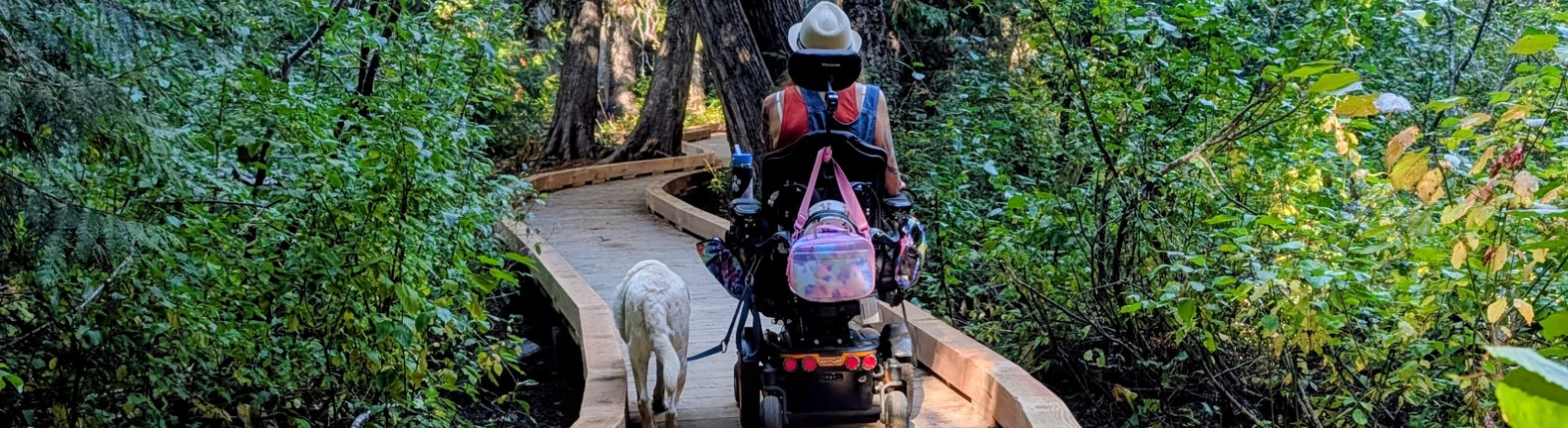A wheelchair user goes along a boardwalk surrounded by green trees