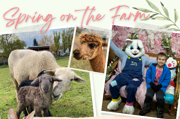 Spring on the farm at Triskelee Farm