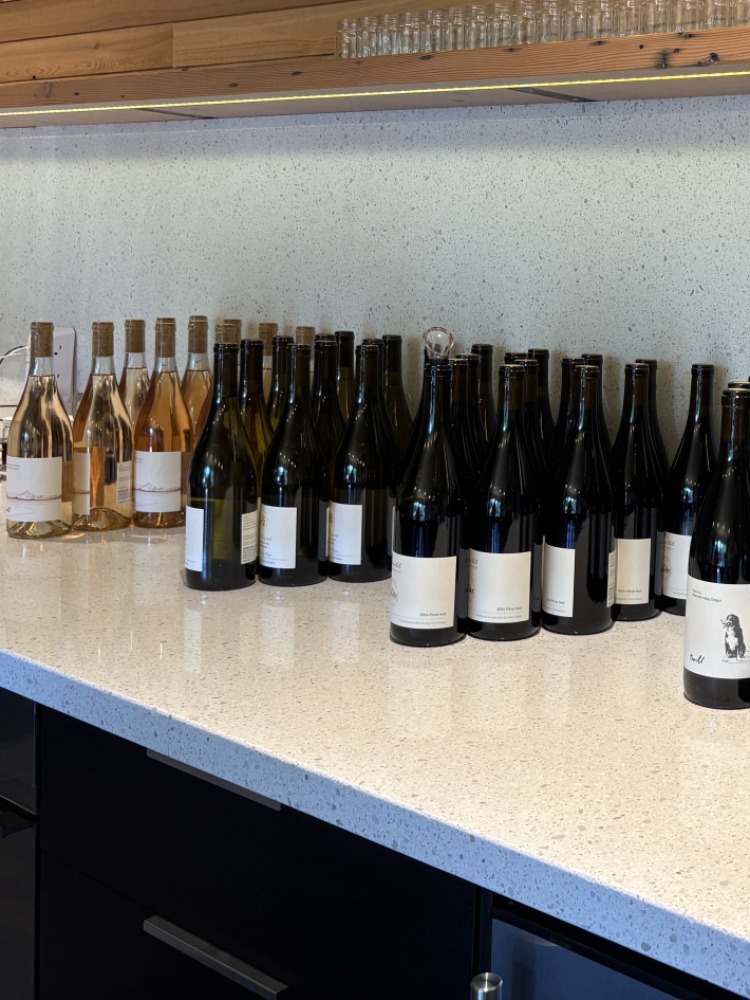 A bunch of wine bottles in a nice rows