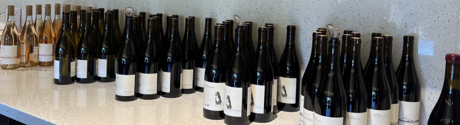 A bunch of wine bottles in a nice rows