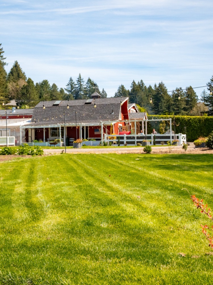 A red barn sits in a field of green grass