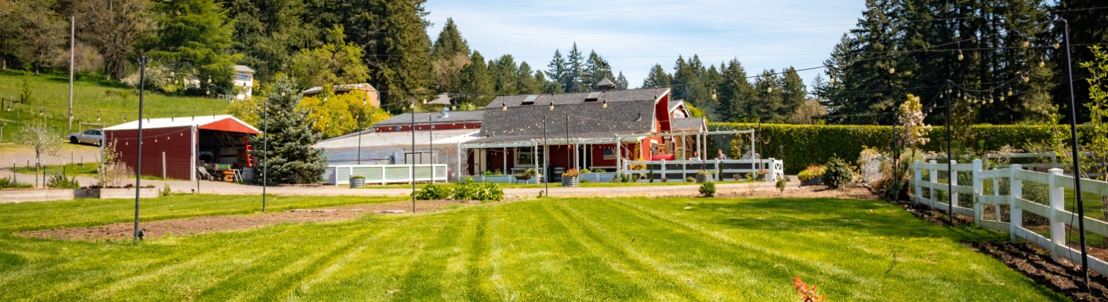 A red barn sits in a field of green grass